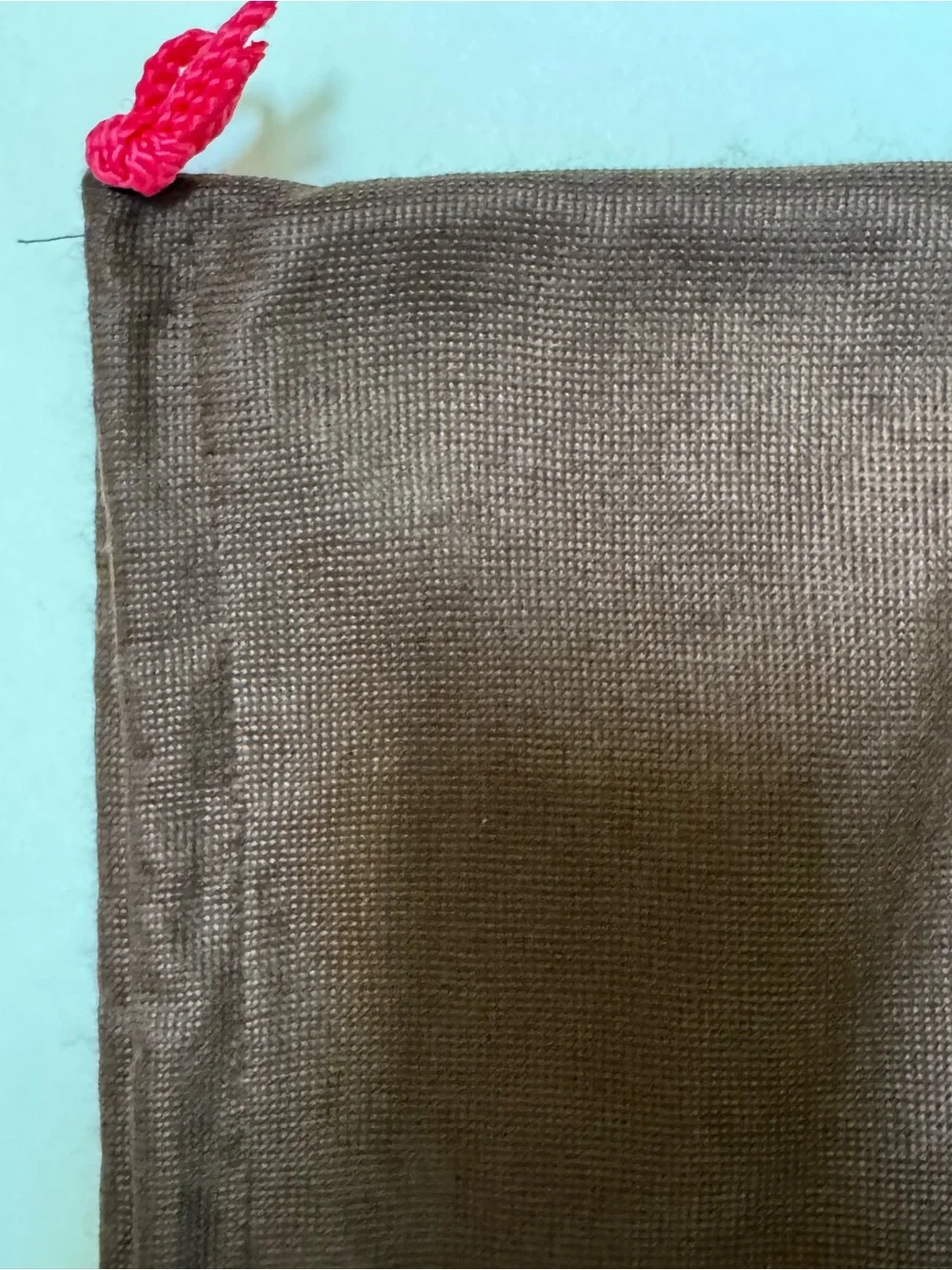 Kate Spade 19X27 Large Brown Dust Bag Pink Rope and floated back to the party
